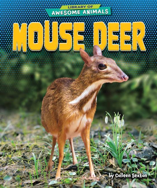Vorderes Coverbild Mouse Deer