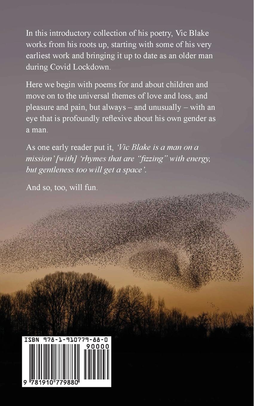 Rückseitencover Murmurations