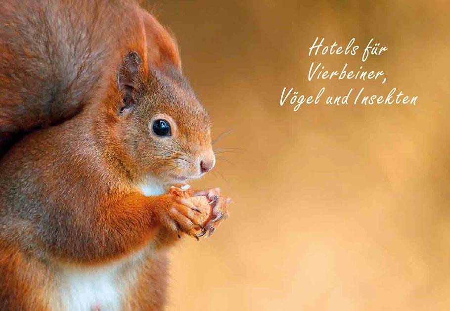 Beispielinhalt (Bild) Ideenbuch Nützlingshotels