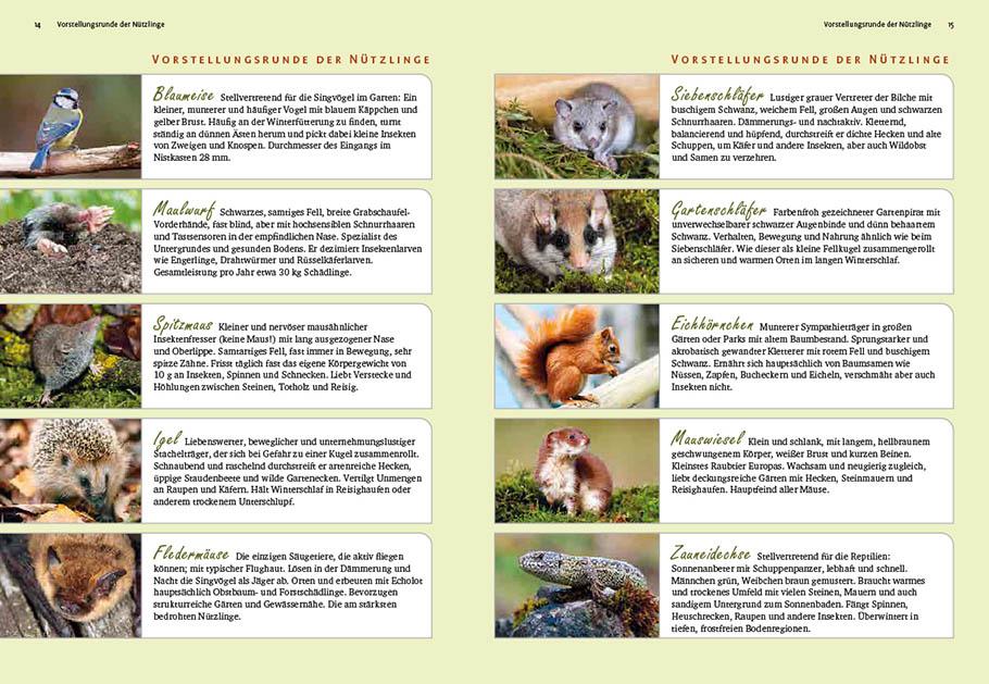 Beispielinhalt (Bild) Ideenbuch Nützlingshotels