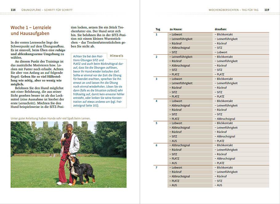 Beispielinhalt (Bild) Sachkundenachweis für Hundehalter