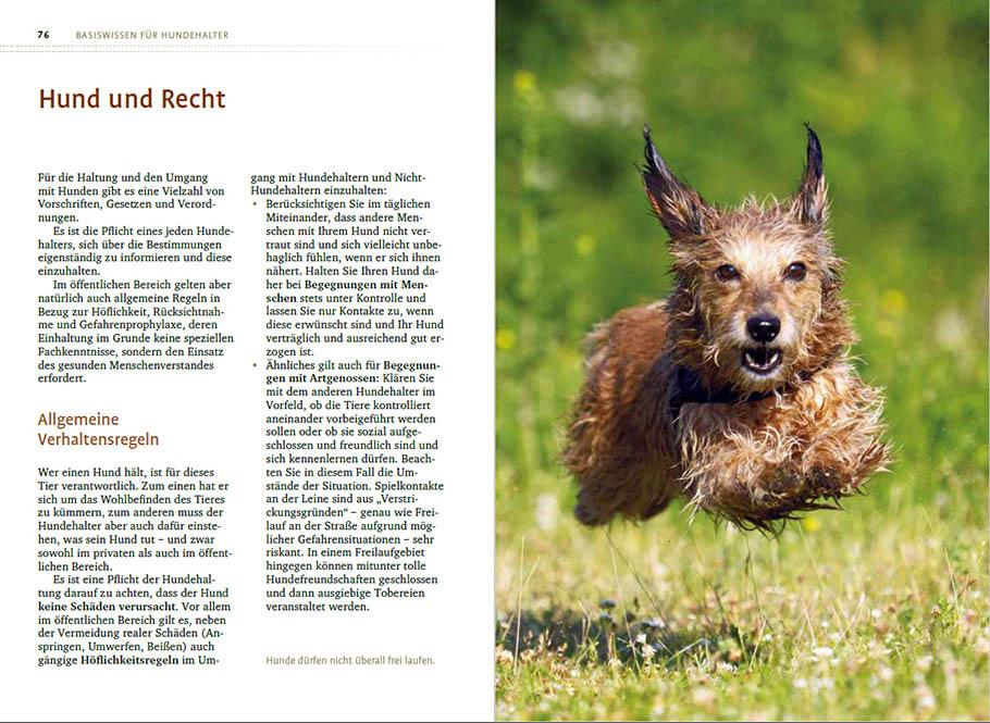 Beispielinhalt (Bild) Sachkundenachweis für Hundehalter