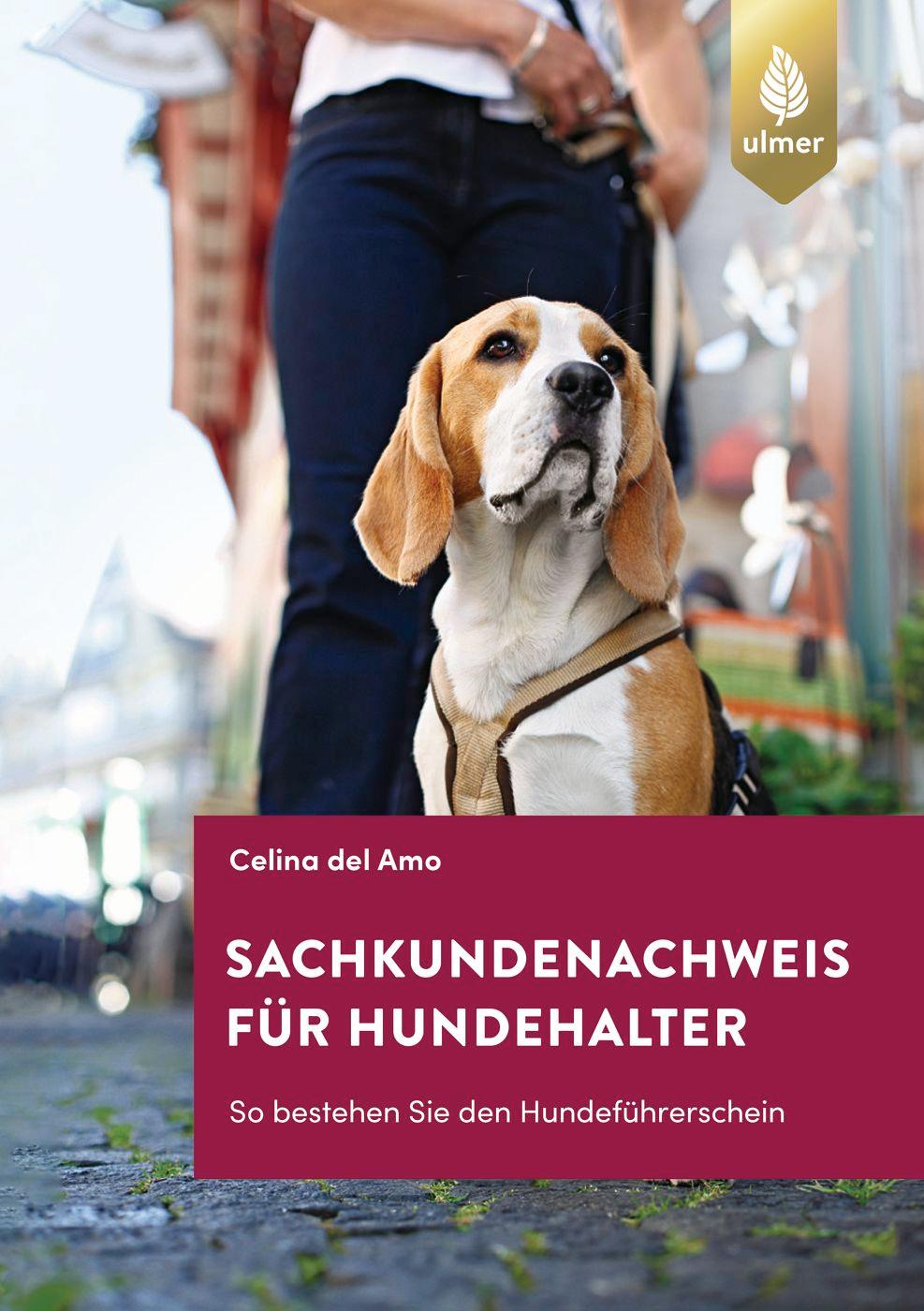 Vorderes Coverbild Sachkundenachweis für Hundehalter