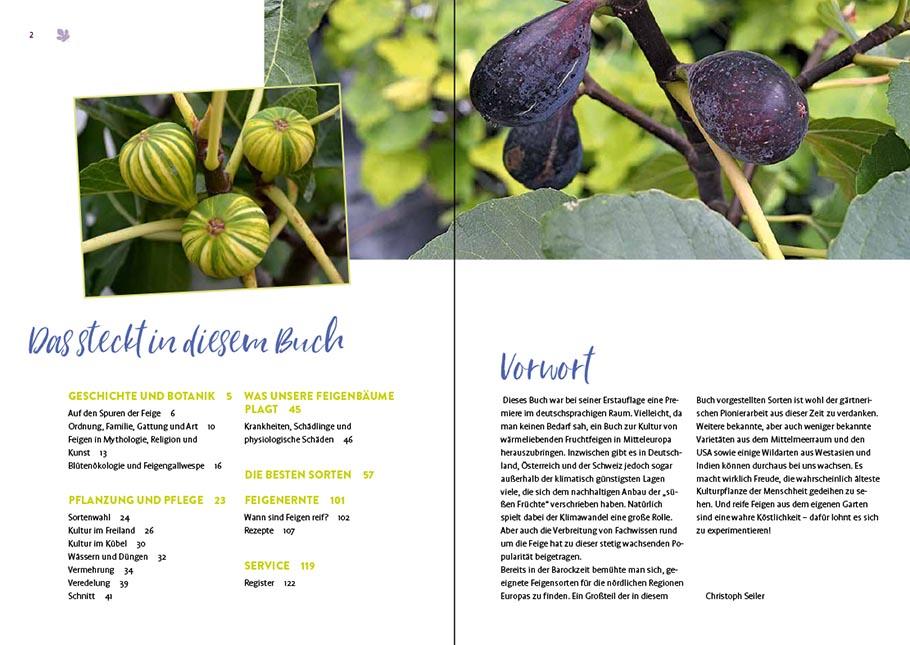 Beispielinhalt (Bild) Feigen aus dem eigenen Garten