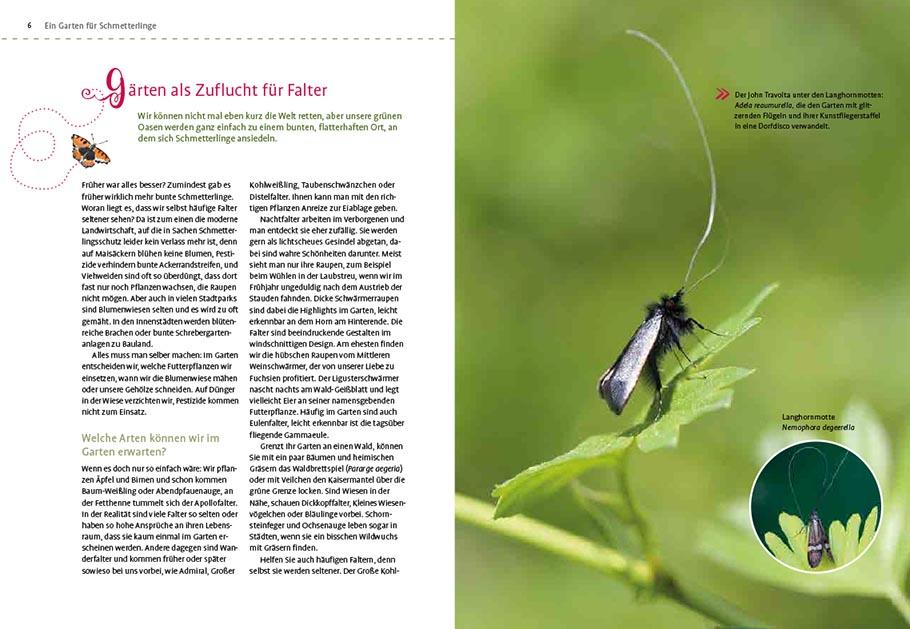 Beispielinhalt (Bild) Mein Schmetterlingsgarten