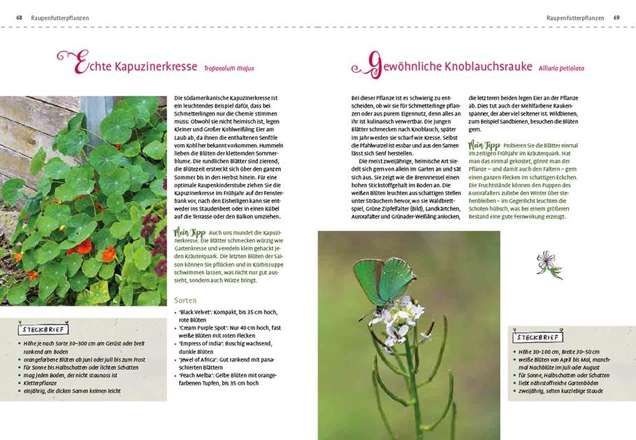 Beispielinhalt (Bild) Mein Schmetterlingsgarten