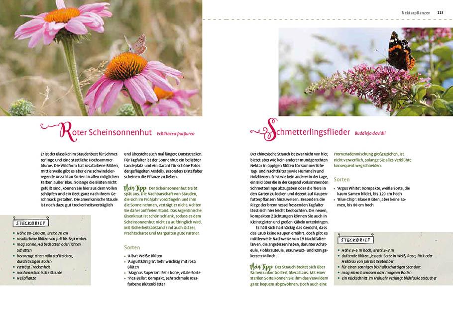 Beispielinhalt (Bild) Mein Schmetterlingsgarten