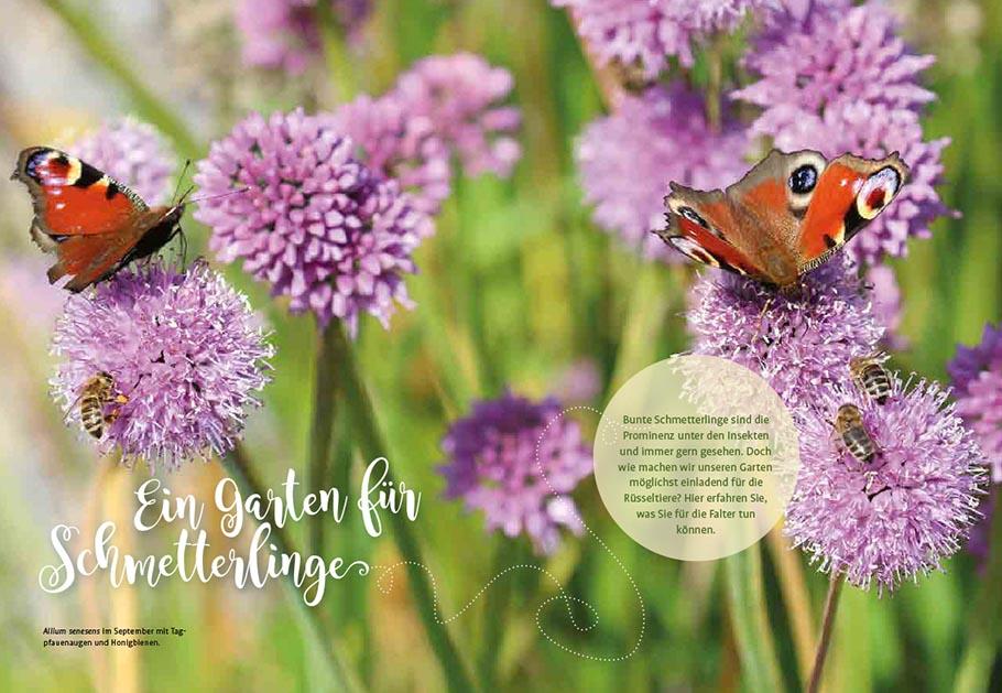 Beispielinhalt (Bild) Mein Schmetterlingsgarten