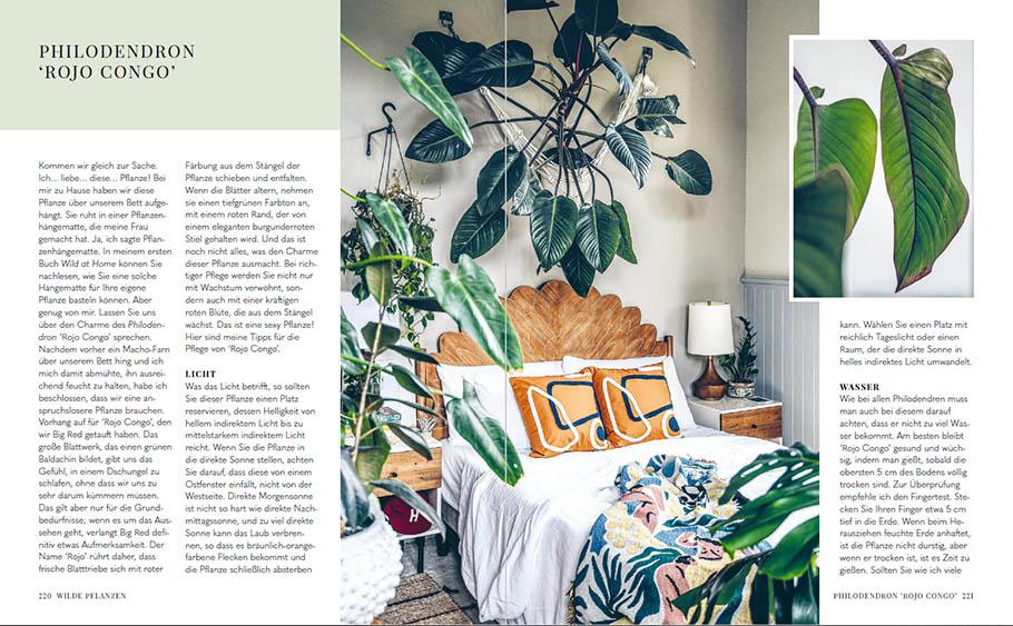 Beispielinhalt (Bild) Welcome to the jungle