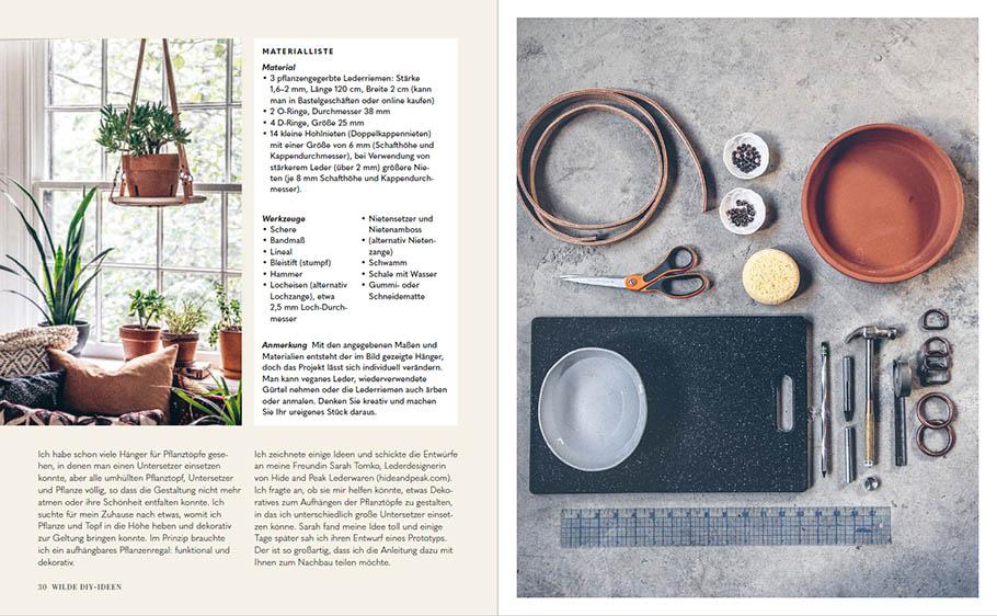 Beispielinhalt (Bild) Welcome to the jungle