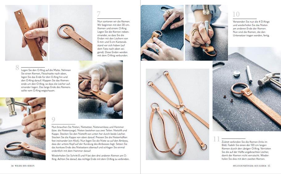 Beispielinhalt (Bild) Welcome to the jungle