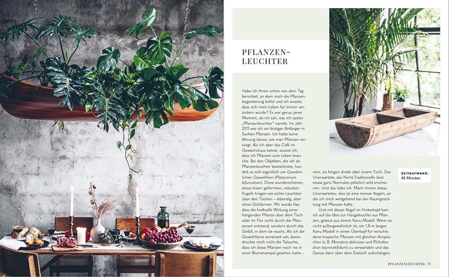 Beispielinhalt (Bild) Welcome to the jungle