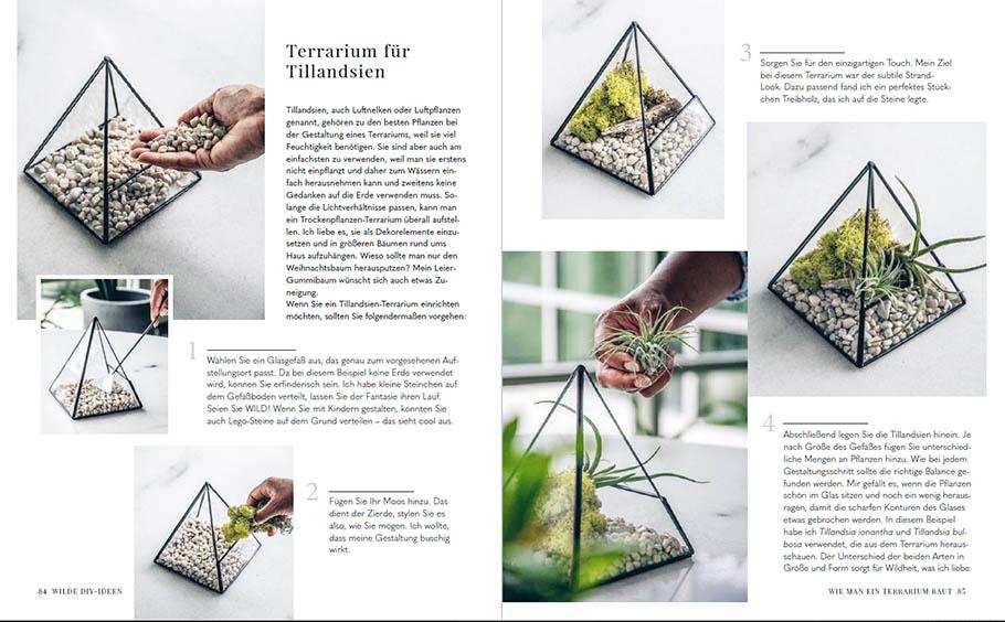 Beispielinhalt (Bild) Welcome to the jungle