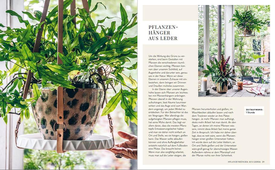 Beispielinhalt (Bild) Welcome to the jungle