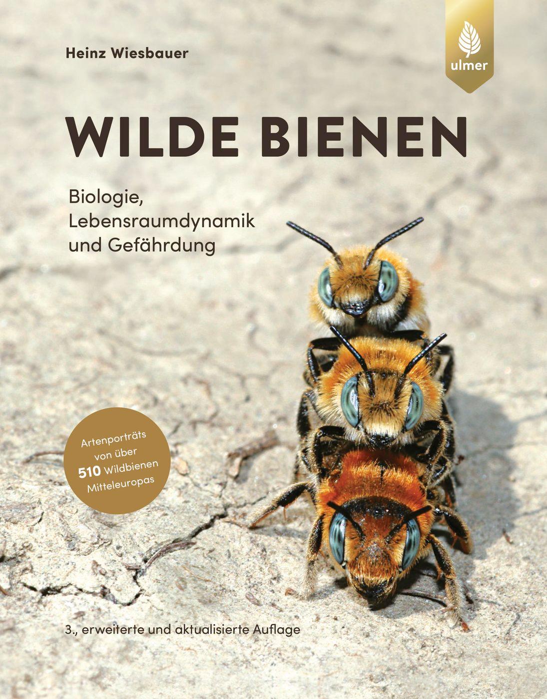Vorderes Coverbild Wilde Bienen