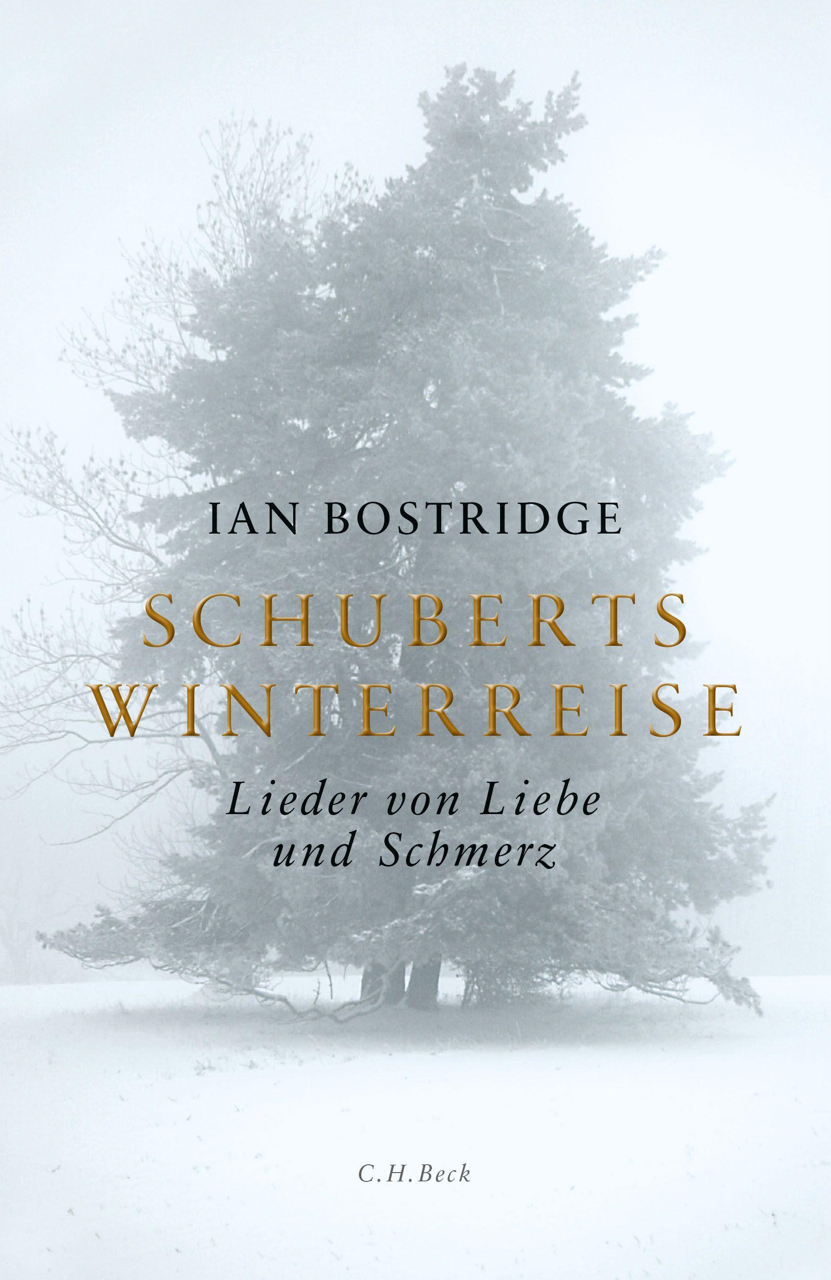 Vorderes Coverbild Schuberts Winterreise
