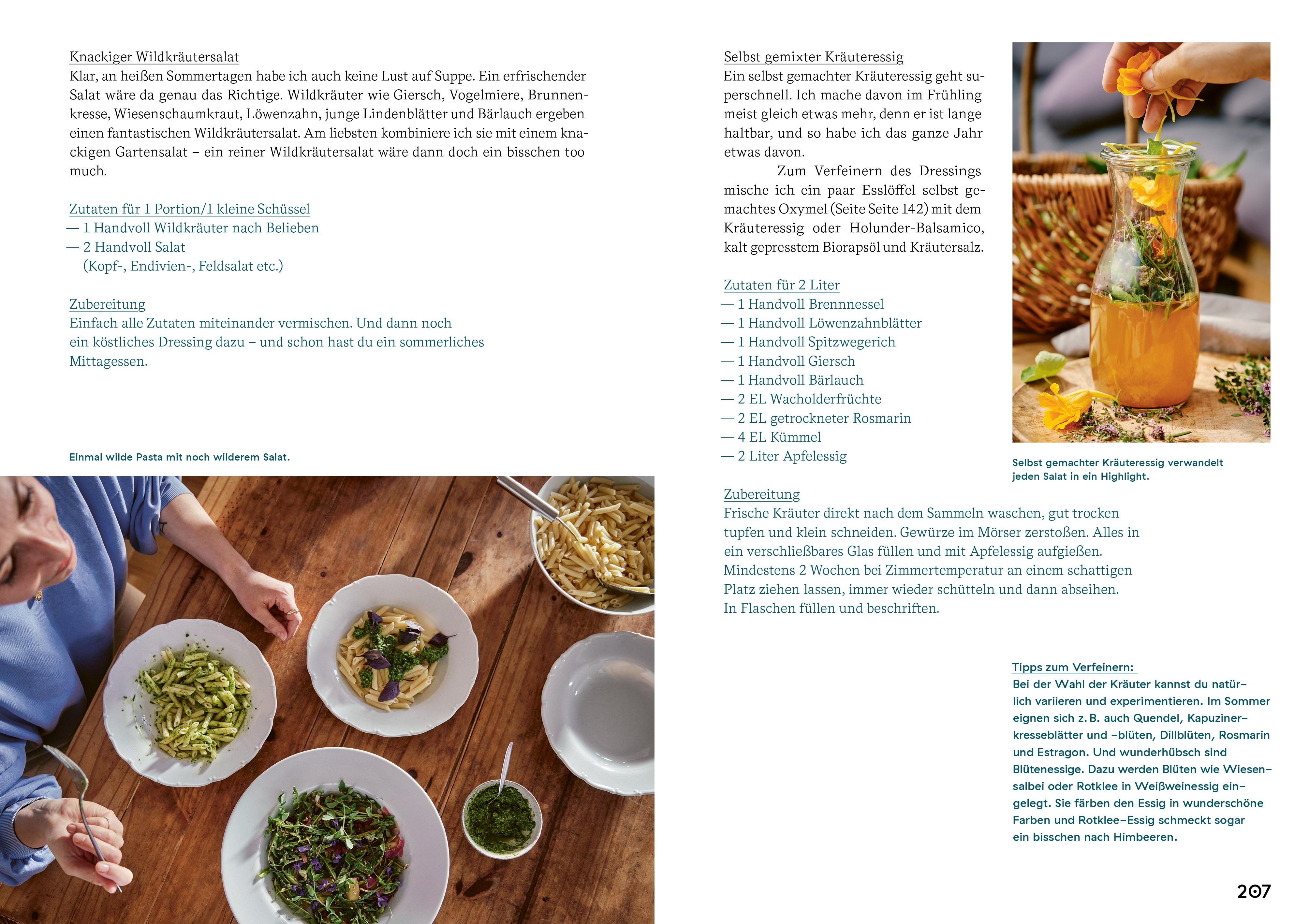 Beispielinhalt (Bild) Rebel Plants