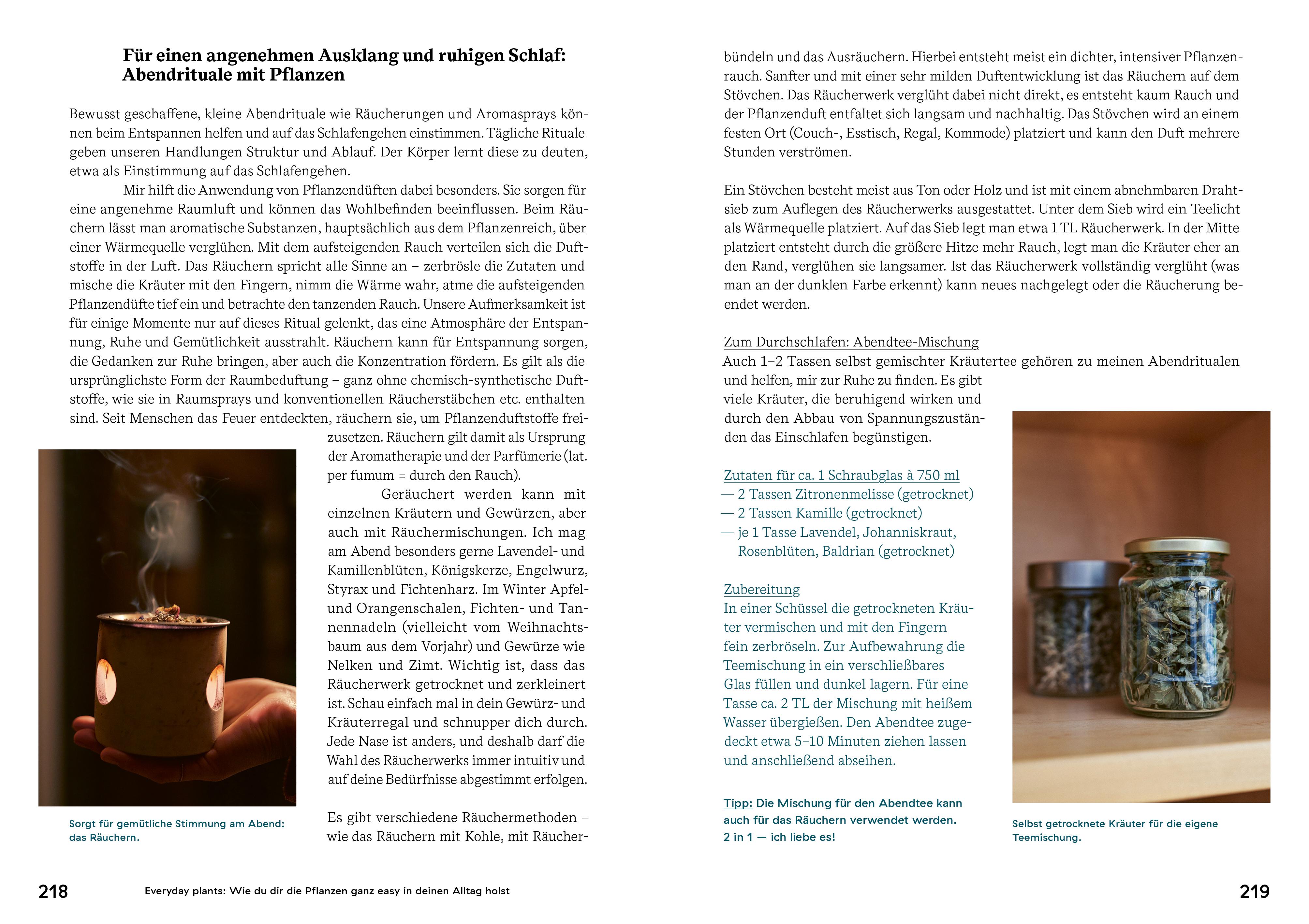 Beispielinhalt (Bild) Rebel Plants