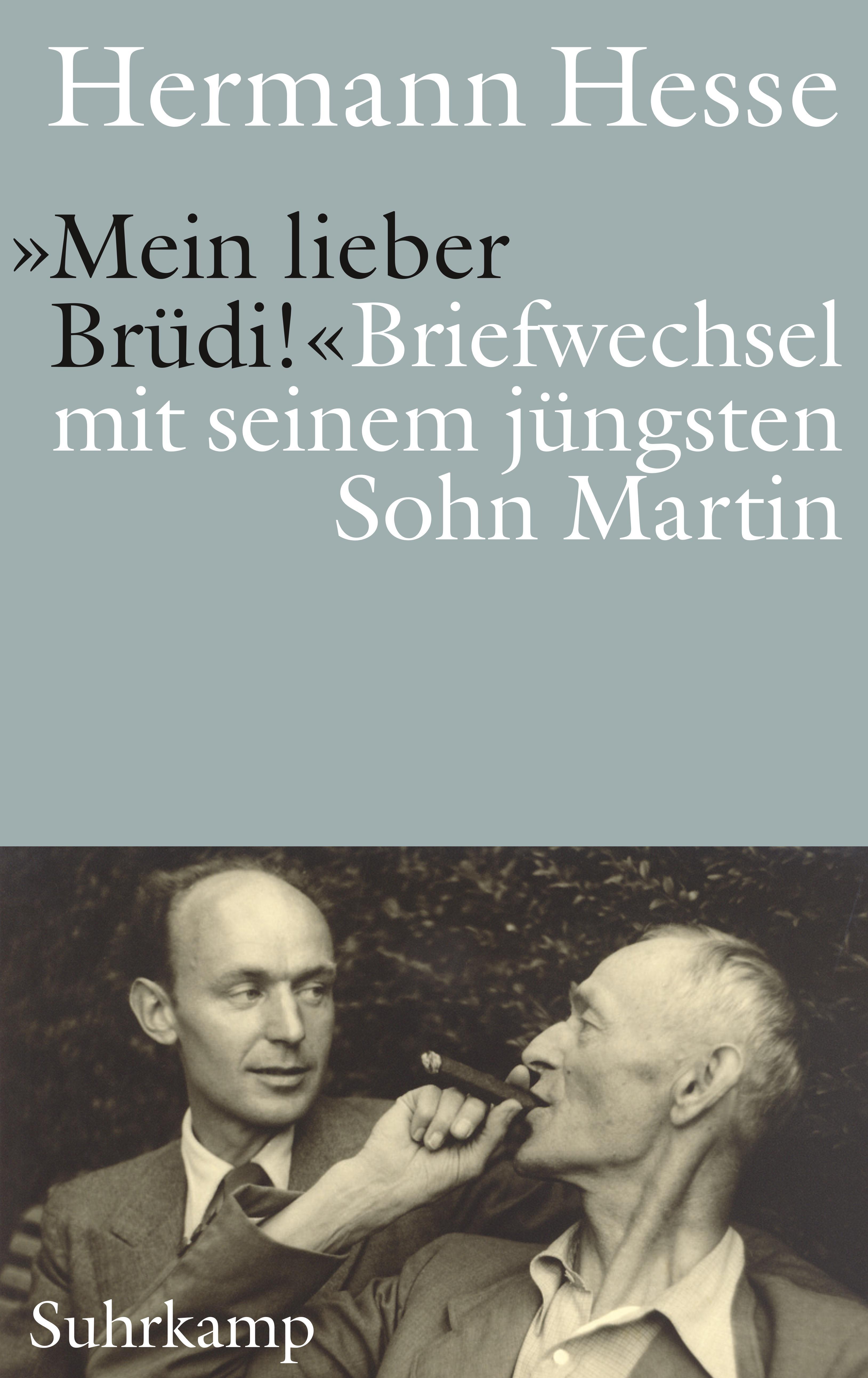Vorderes Coverbild 'Mein lieber Brüdi!'