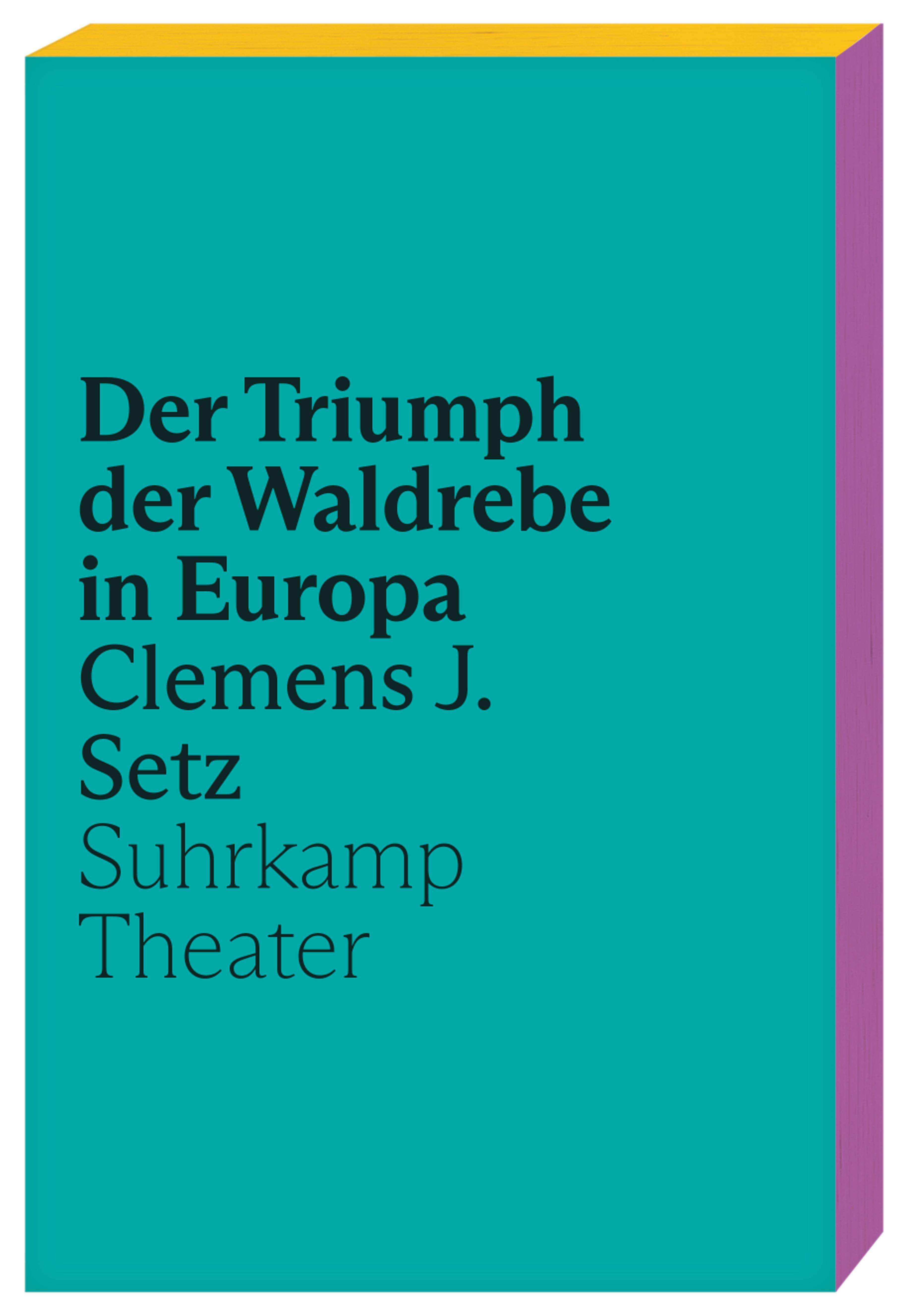 Vorderes Coverbild Der Triumph der Waldrebe in Europa