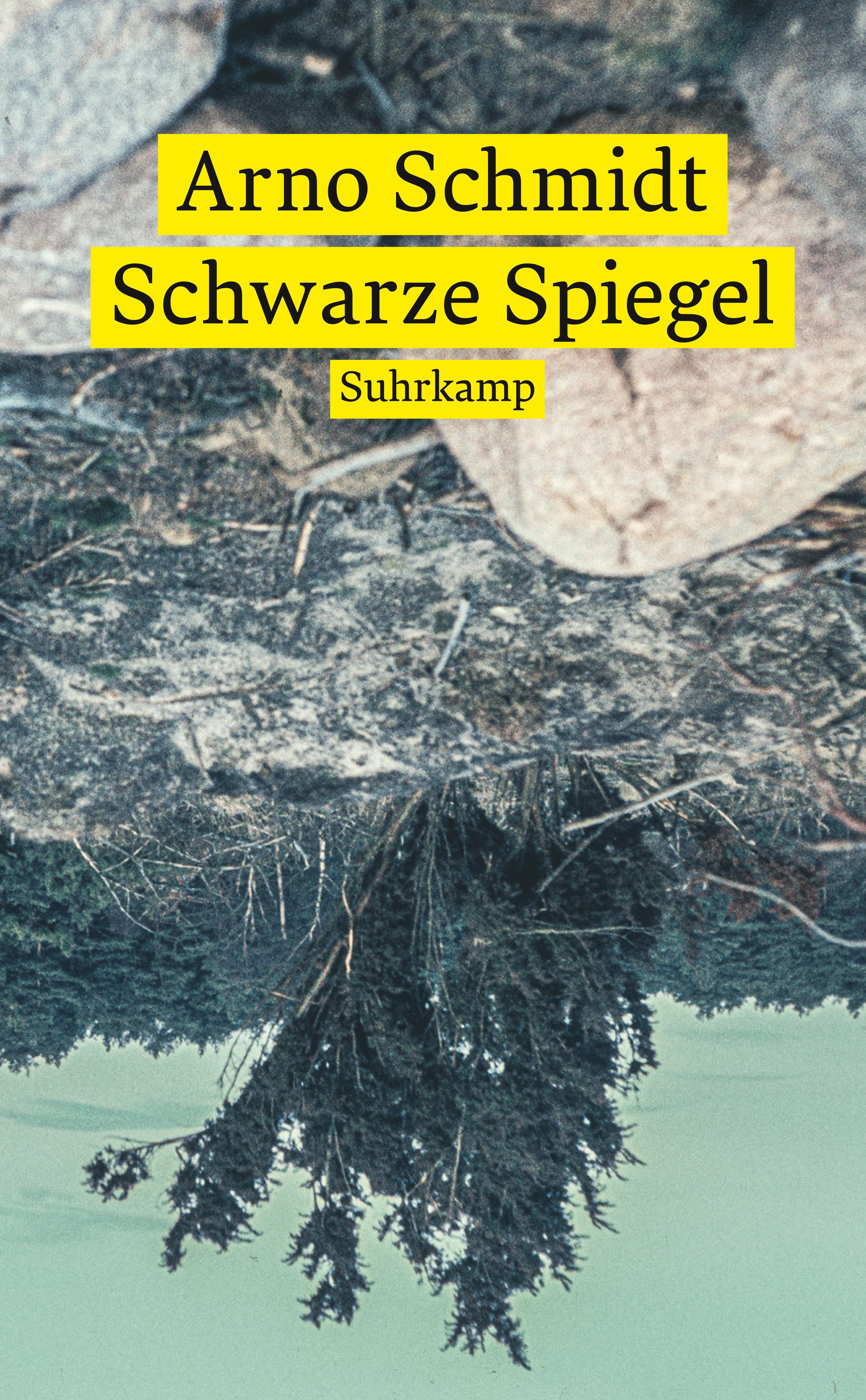 Vorderes Coverbild Schwarze Spiegel