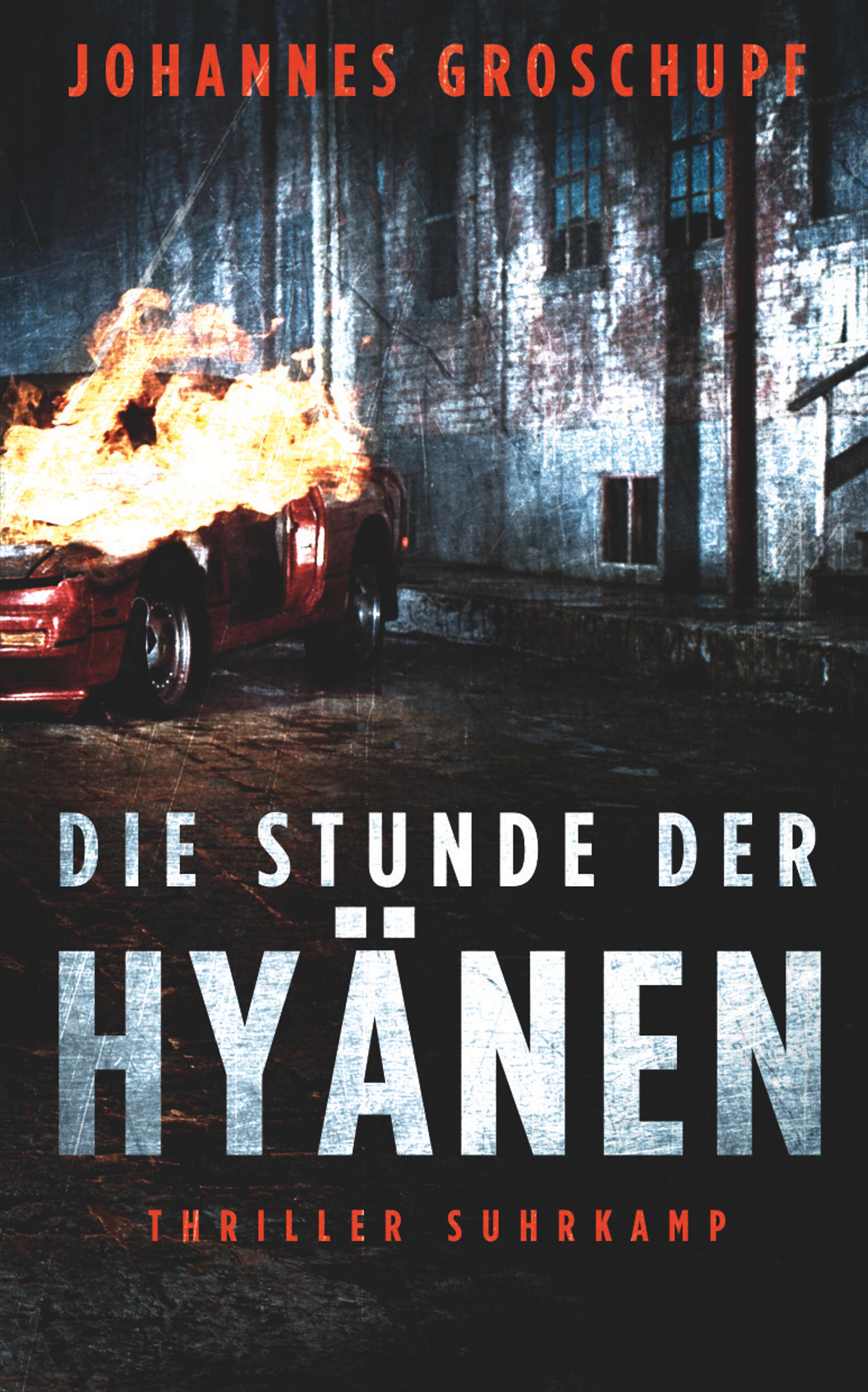 Vorderes Coverbild Die Stunde der Hyänen