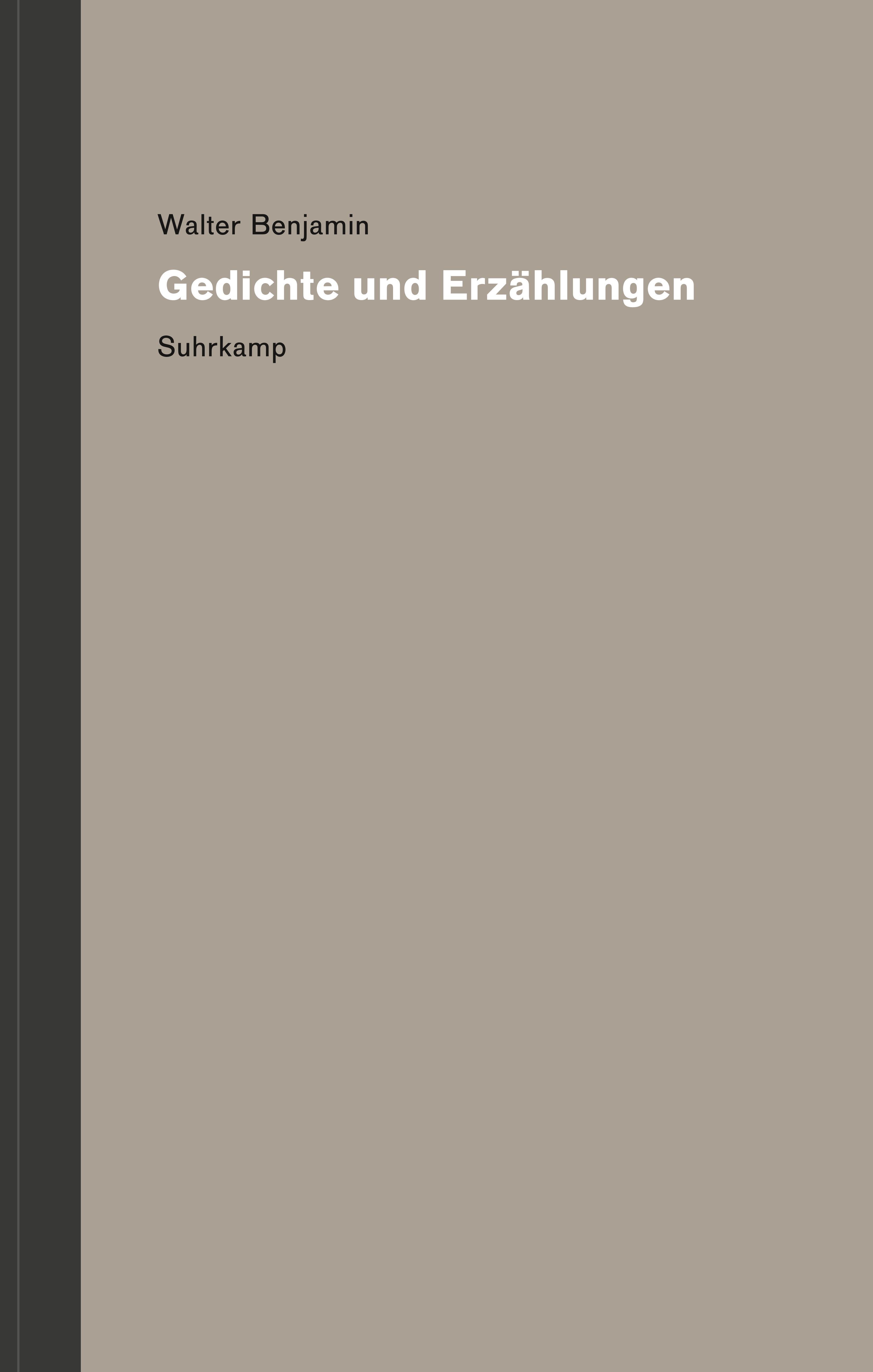 Vorderes Coverbild Werke und Nachlaß. Kritische Gesamtausgabe