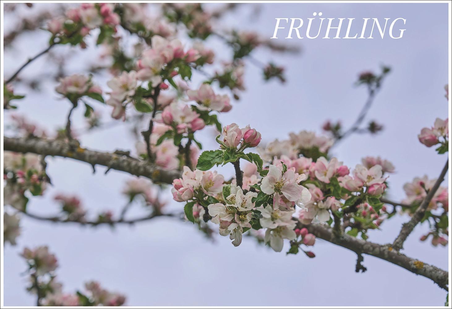 Beispielinhalt (Bild) Scheunenwirtin