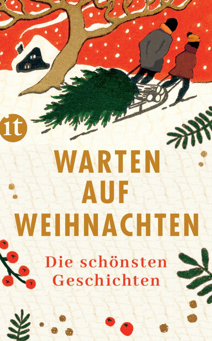 Vorderes Coverbild Warten auf Weihnachten