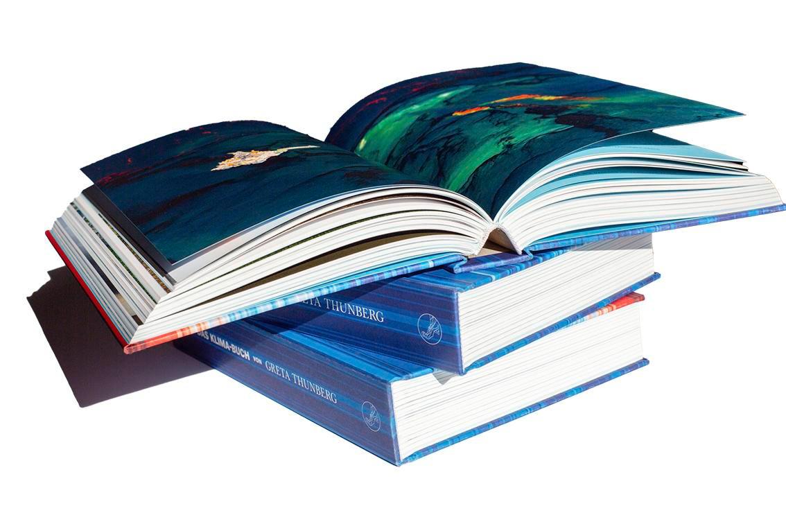 Beispielinhalt (Bild) Das Klima-Buch von Greta Thunberg