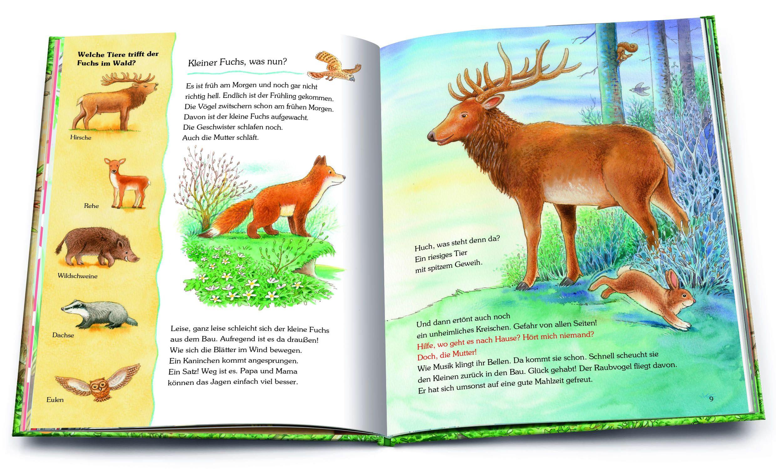 Beispielinhalt (Bild) Unser Wald und seine Tiere. Die schönsten Geschichten mit vielen Sachinformationen