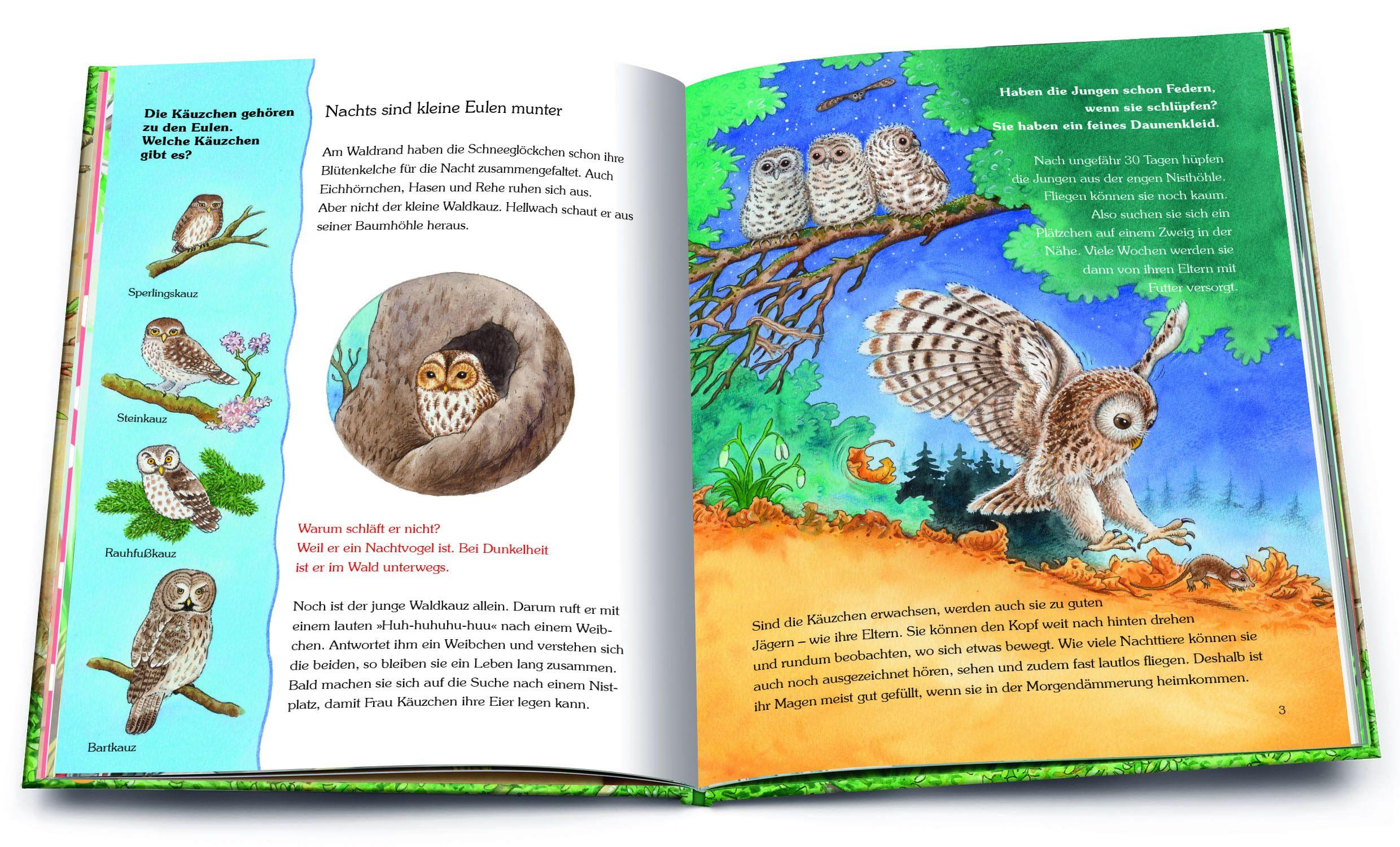 Beispielinhalt (Bild) Unser Wald und seine Tiere. Die schönsten Geschichten mit vielen Sachinformationen