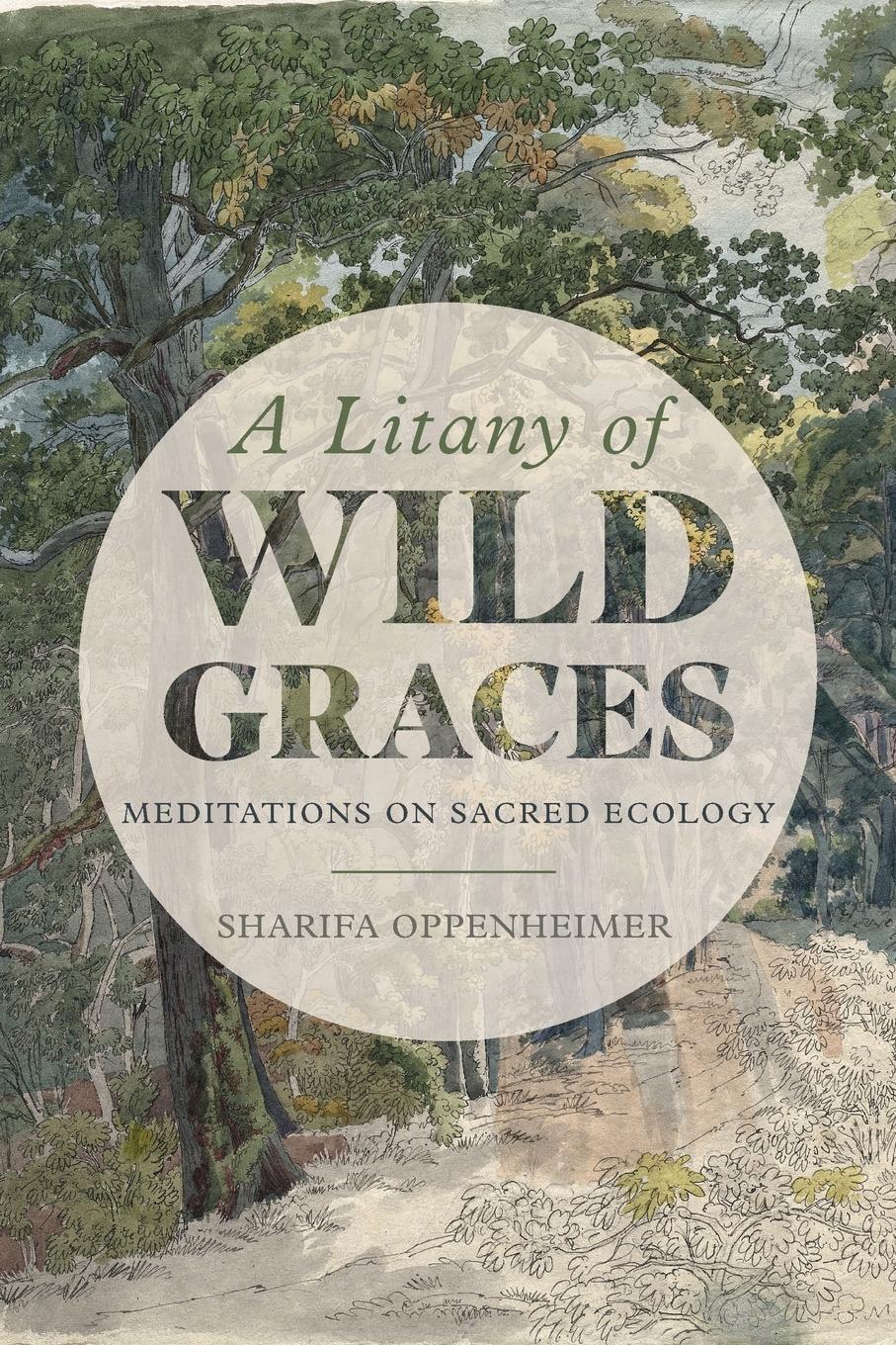 Vorderes Coverbild A Litany of Wild Graces