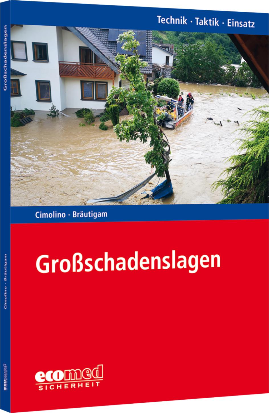 Vorderes Coverbild Großschadenslagen