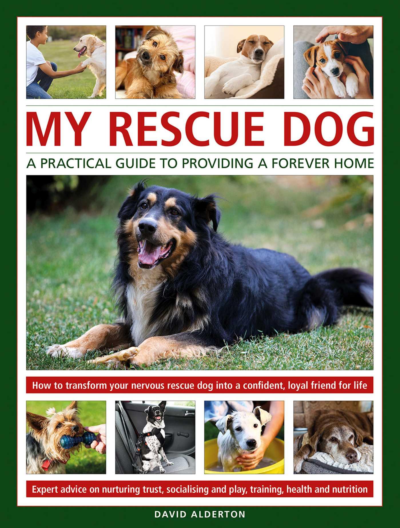Vorderes Coverbild My Rescue Dog: A practical guide to providing a forever home