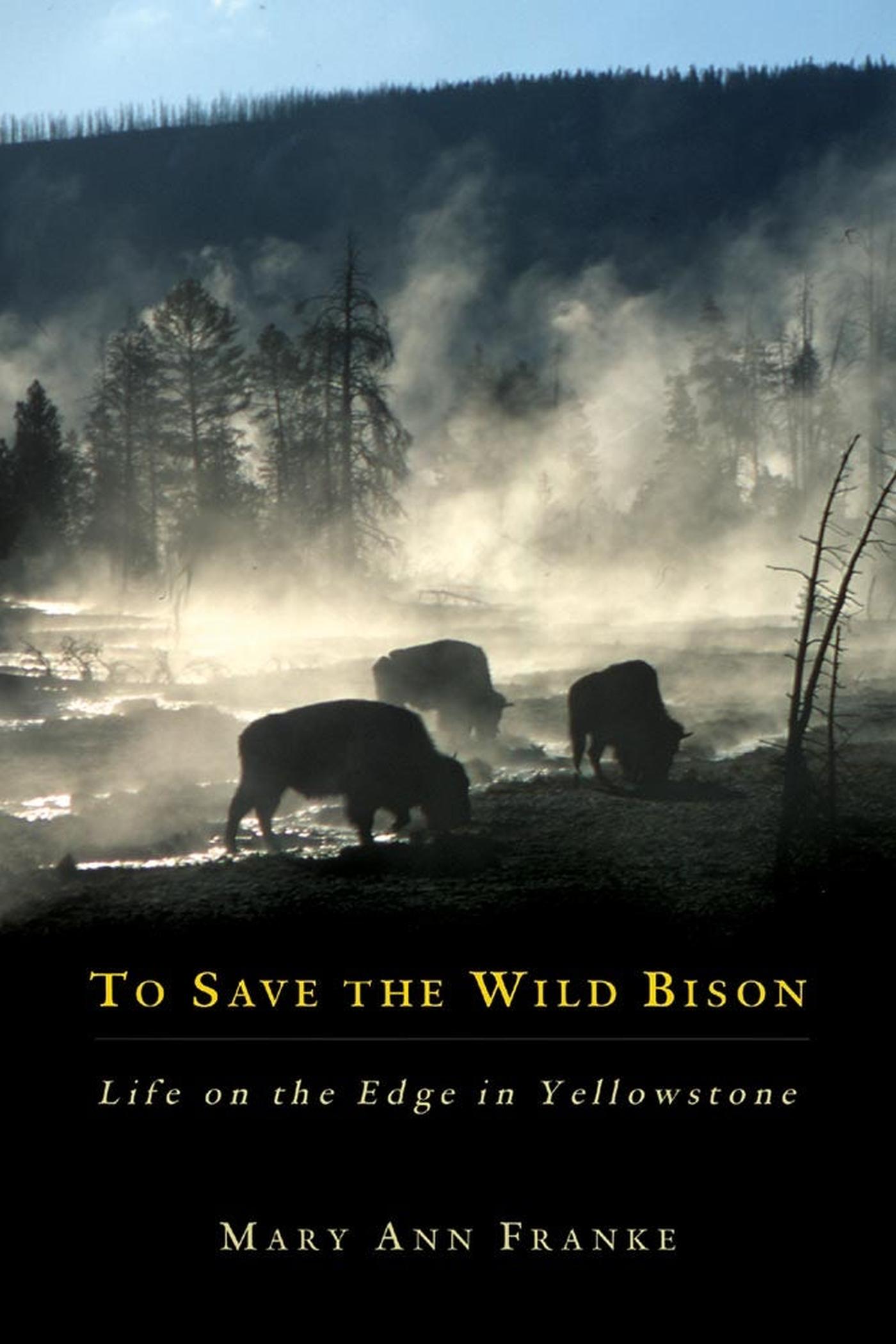 Vorderes Coverbild To Save the Wild Bison: Life on the Edge in Yellowstone