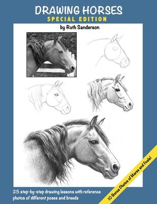 Vorderes Coverbild Drawing Horses