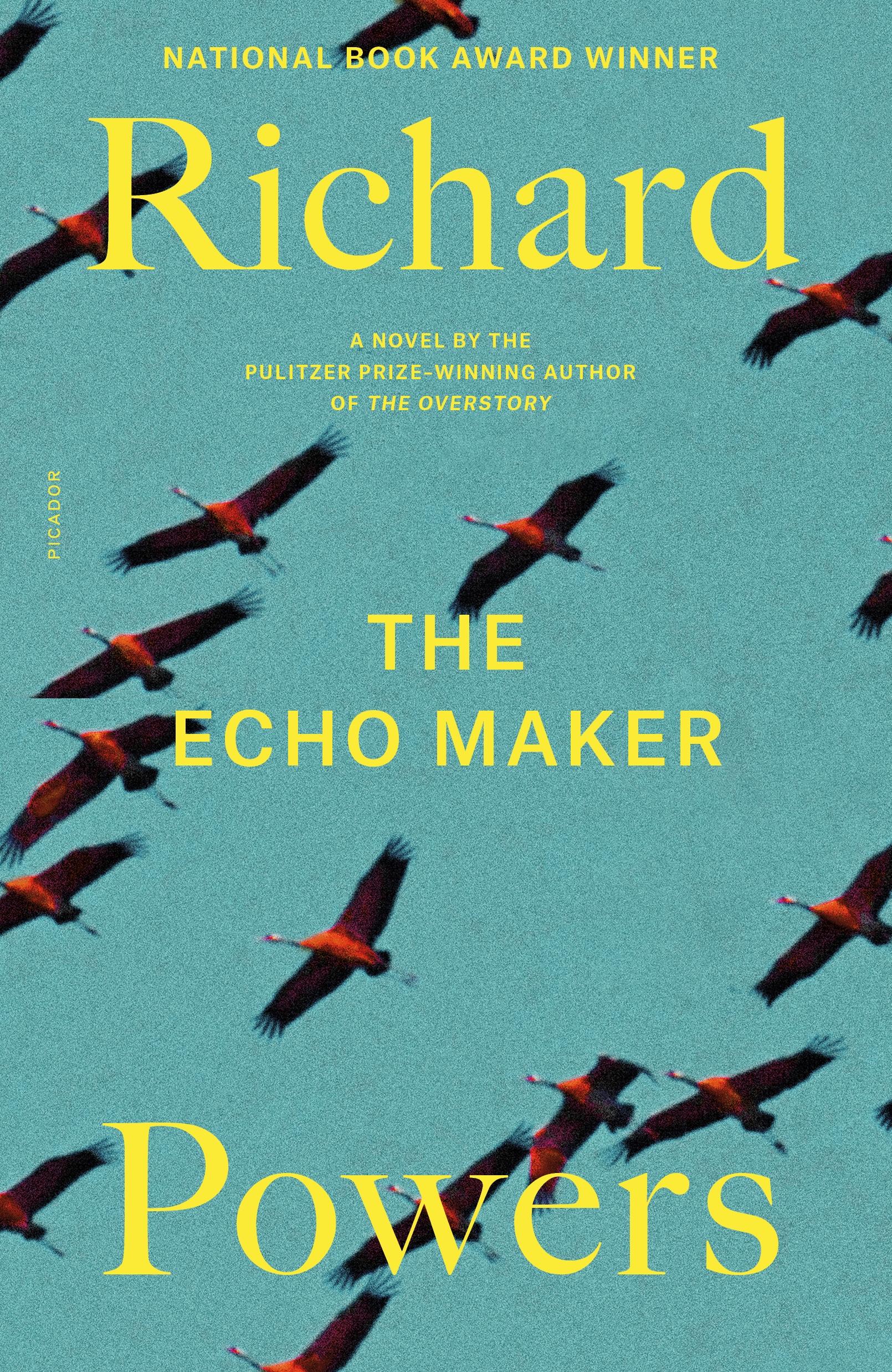 Vorderes Coverbild The Echo Maker