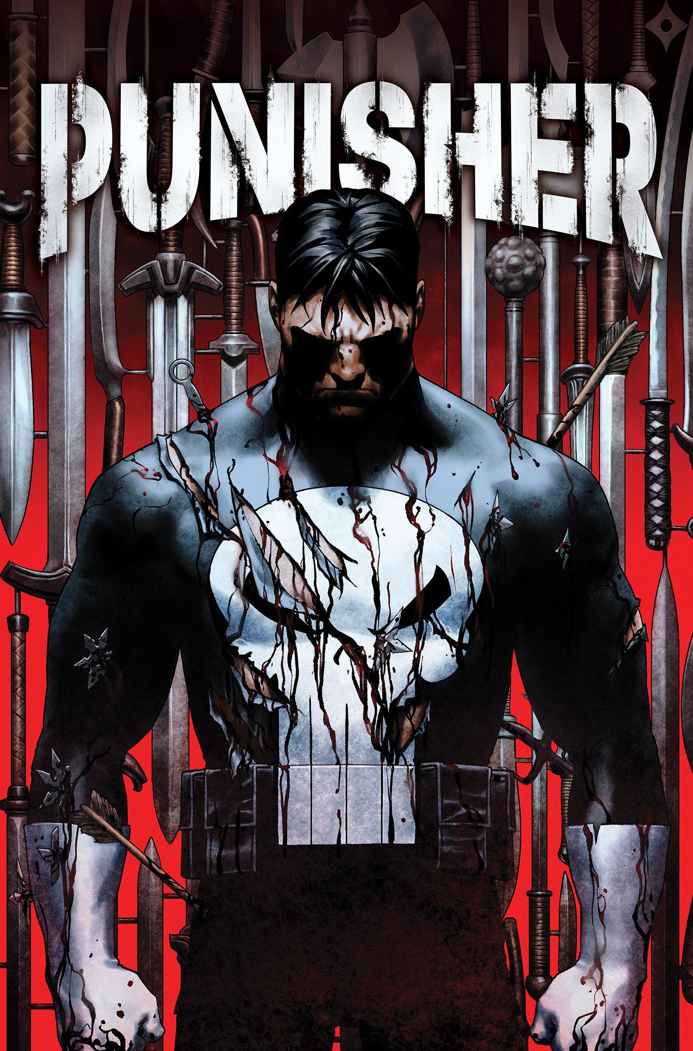 Vorderes Coverbild Punisher Vol. 1