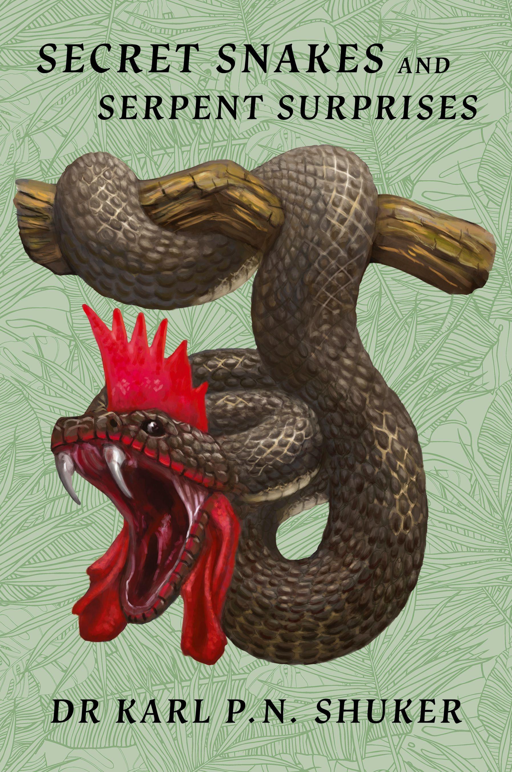 Vorderes Coverbild Secret Snakes and Serpent Surprises