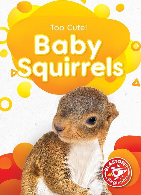 Vorderes Coverbild Baby Squirrels