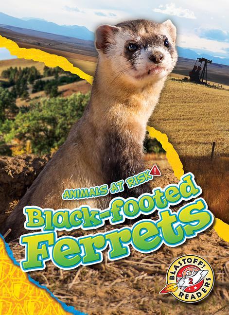 Vorderes Coverbild Black-Footed Ferrets
