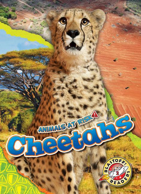 Vorderes Coverbild Cheetahs