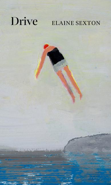 Vorderes Coverbild Drive