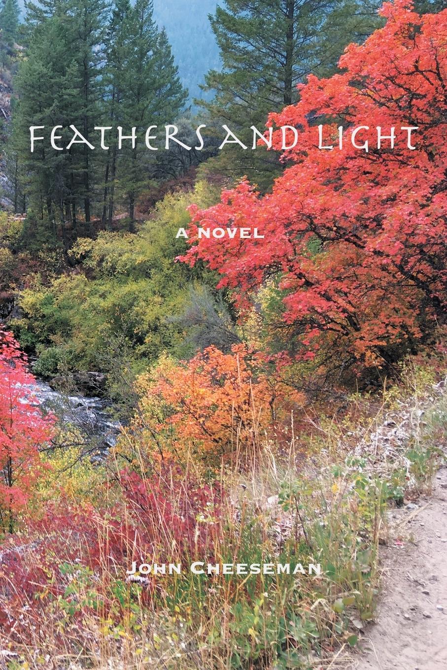 Vorderes Coverbild Feathers and Light