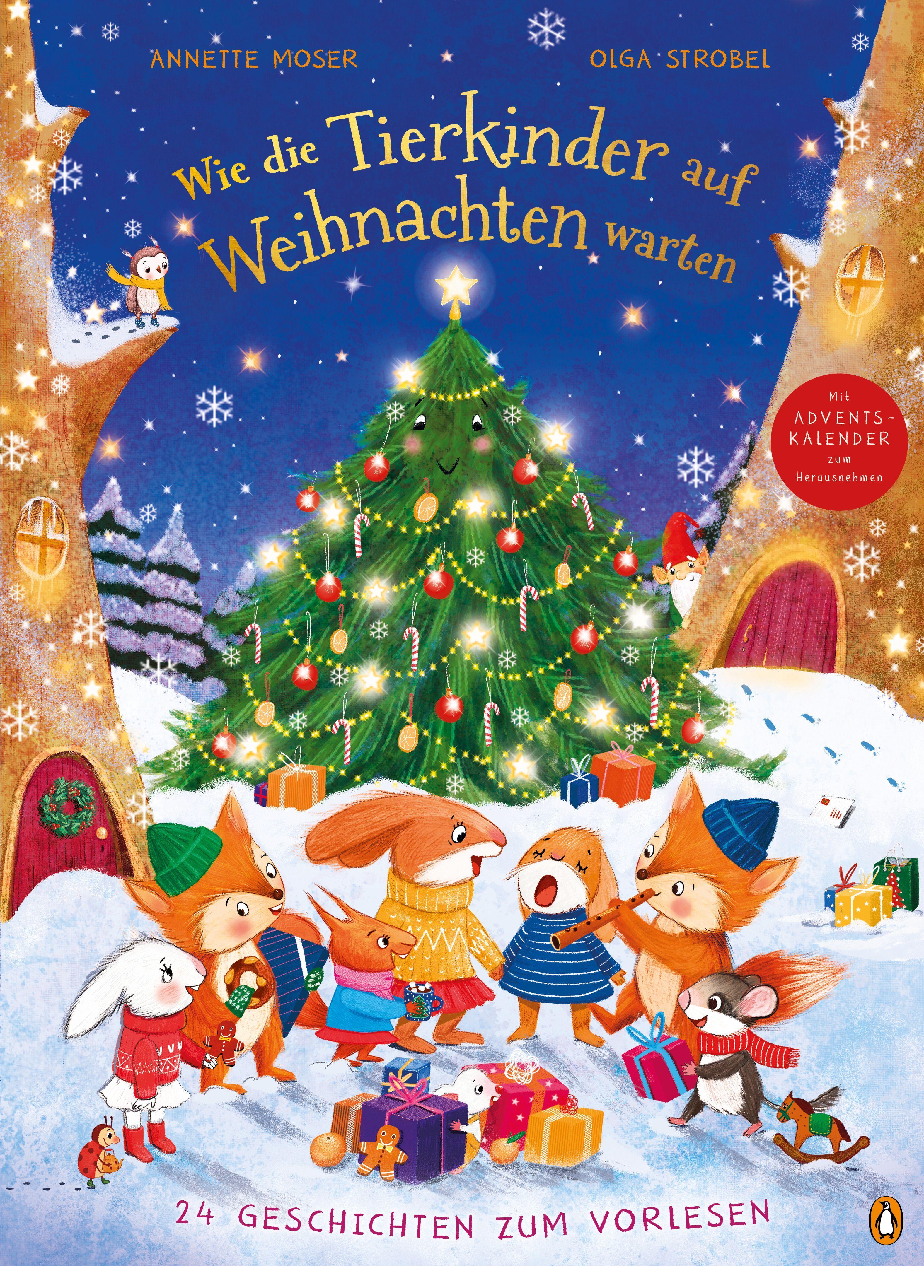 Vorderes Coverbild Wie die Tierkinder auf Weihnachten warten