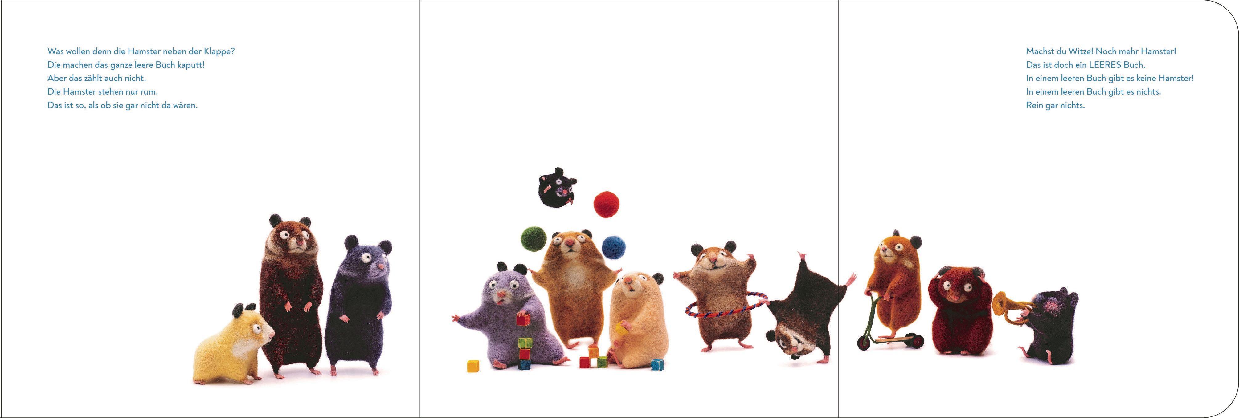 Beispielinhalt (Bild) Dieses Buch ist LEER