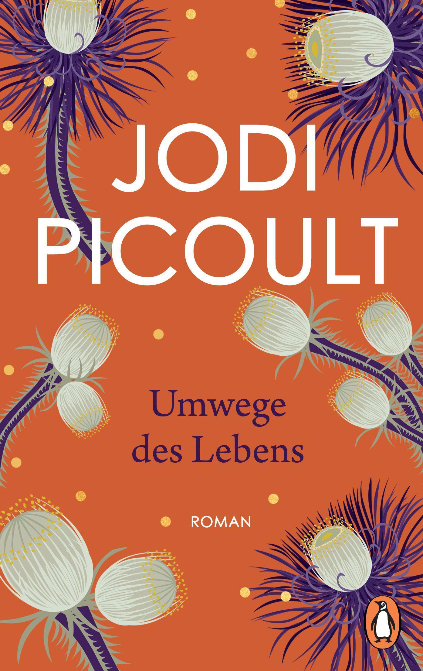 Vorderes Coverbild Umwege des Lebens