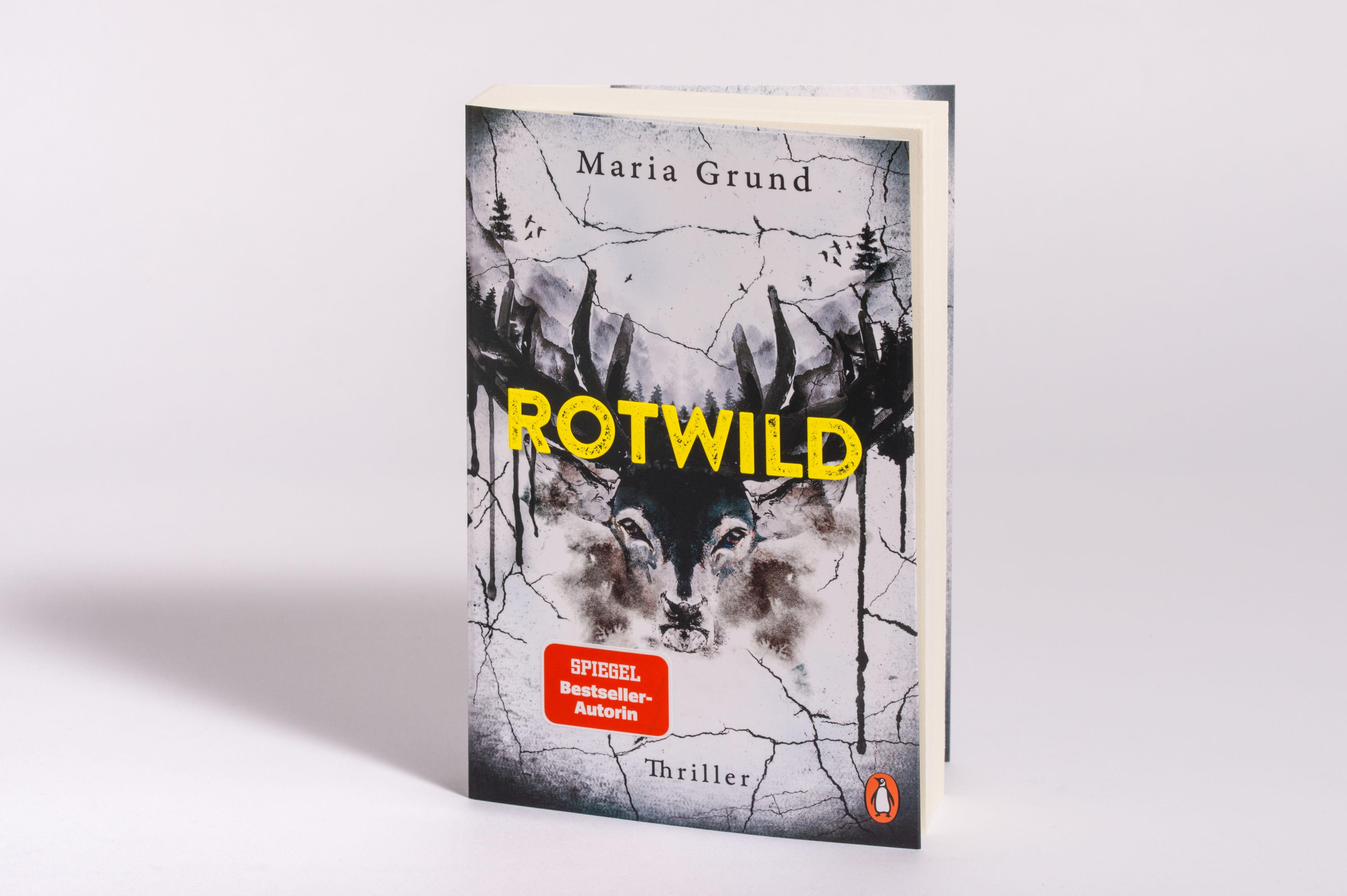 Beispielinhalt (Bild) Rotwild
