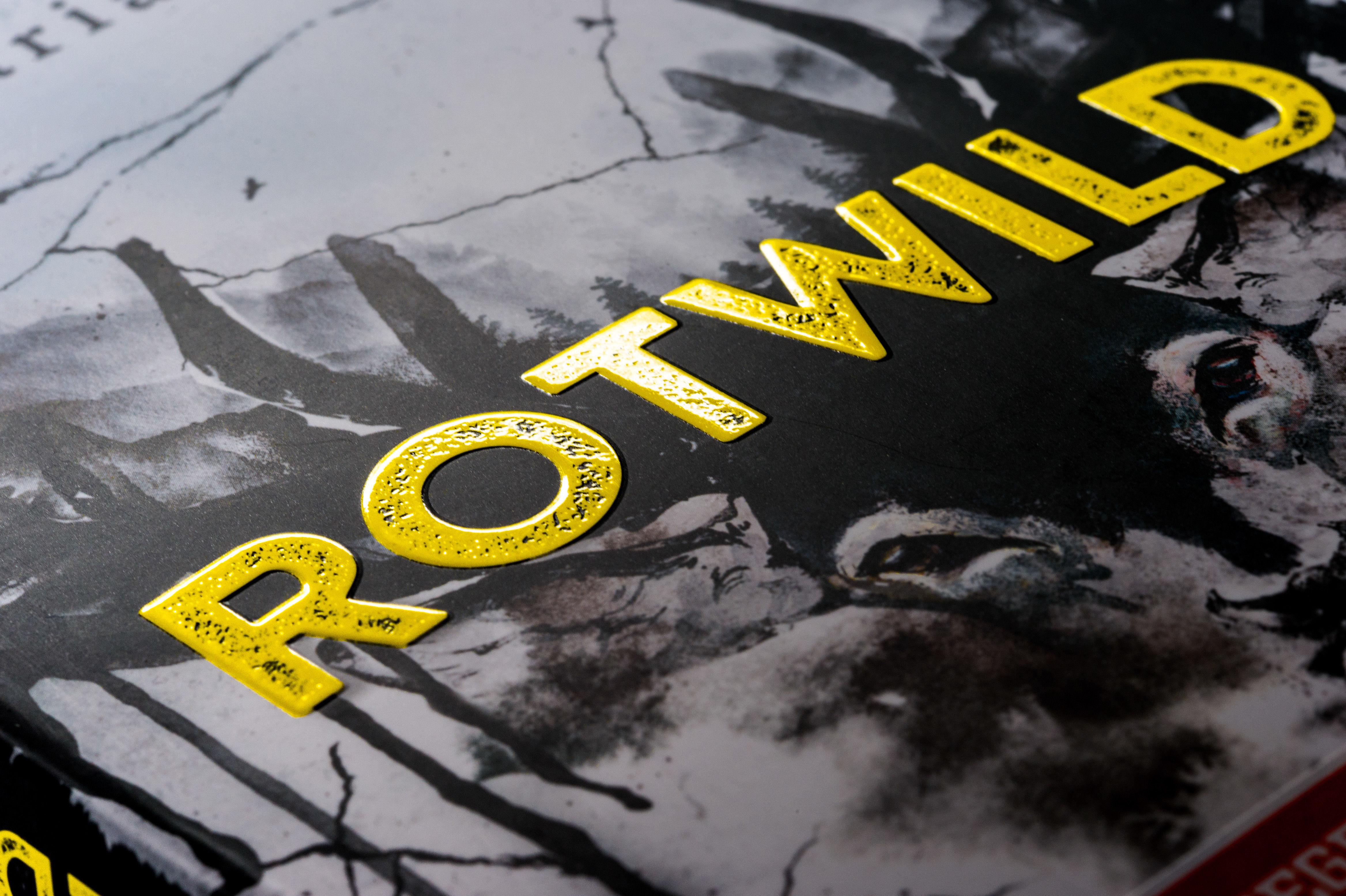 Beispielinhalt (Bild) Rotwild